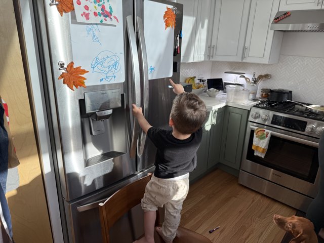 Morning Mischief in the Kitchen