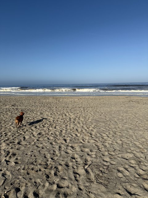 Embracing the Ocean Breeze
