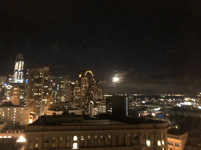 Lunar Lights in the Metropolis