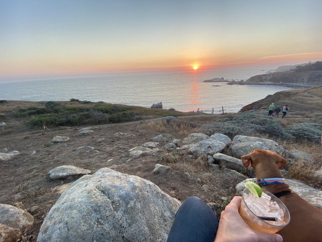 A Peaceful Sunset by the Rocks with a Furry Buddy