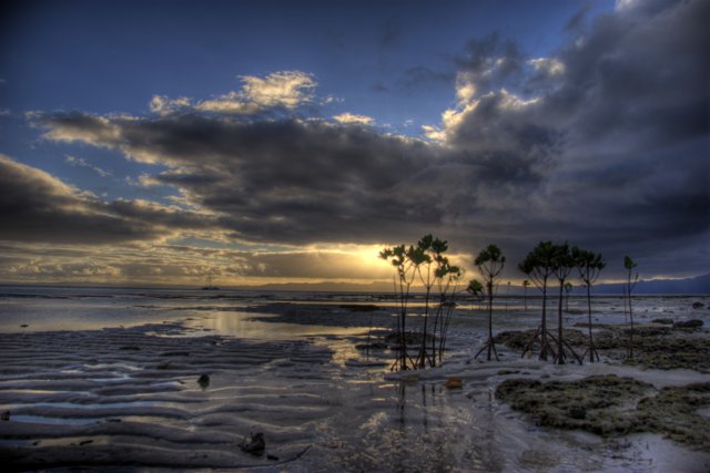 Serene Sunset at the Palm-Fringed Beach