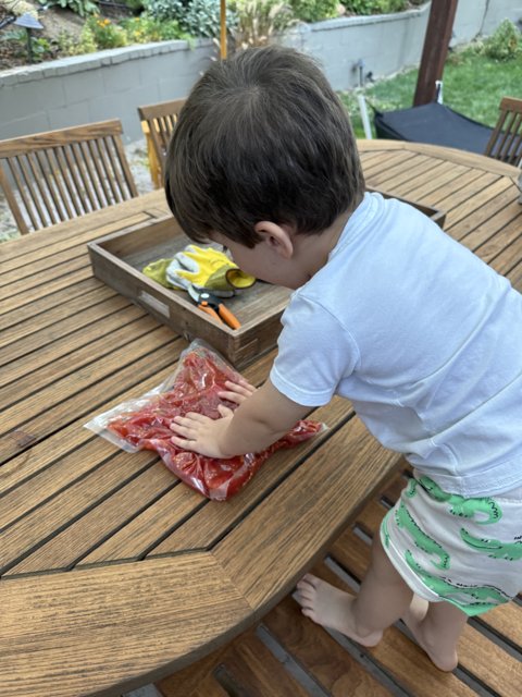 Summer Adventures on the Deck