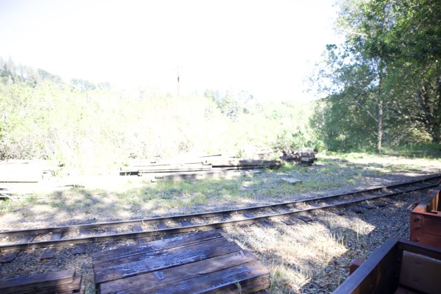 Serenity on the Tracks: A Morning at Tilden Steam Trains