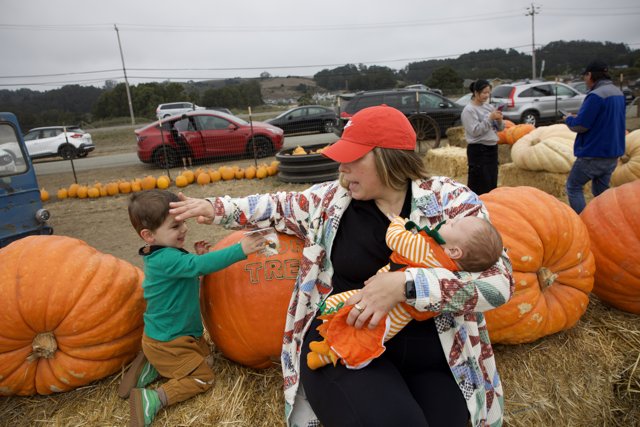 Harvest Memories at Walnut Creek