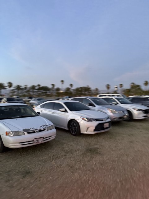 Twilight Drive