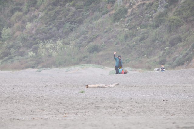 Family Waving Hello on a Misty Coastal Beach