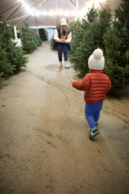Wesley's Christmas Tree Hunt