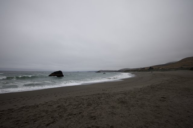 Moody Coastal Wilderness on a Gray June Day