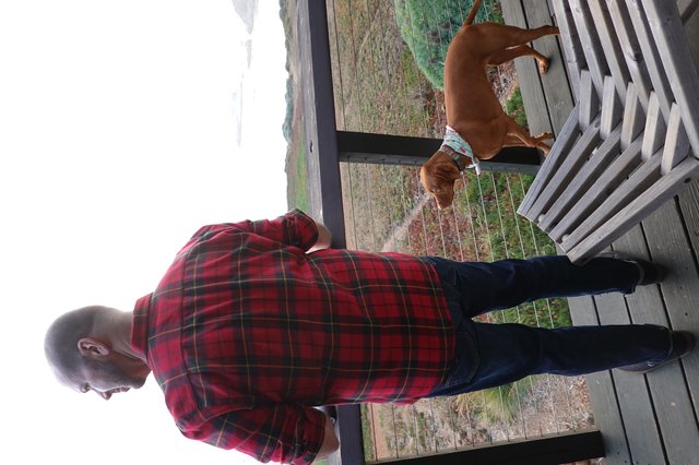 Man and Dog Overlooking Coastal Landscape