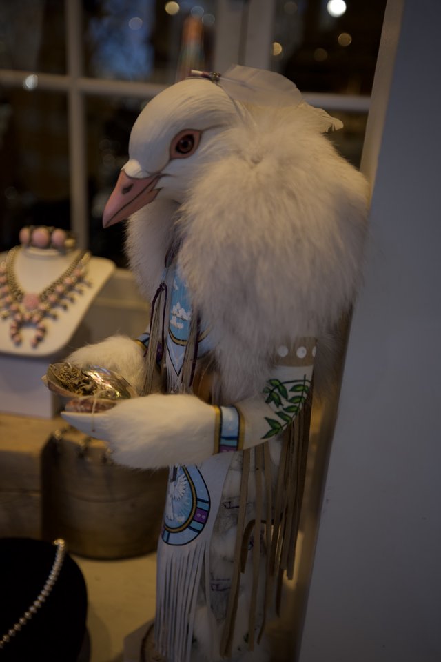 White Dove Admiring Jewelry in Santa Fe Shop