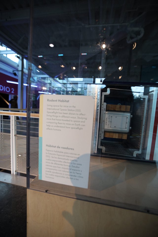 Rodent Habitat Display at Space Science Museum