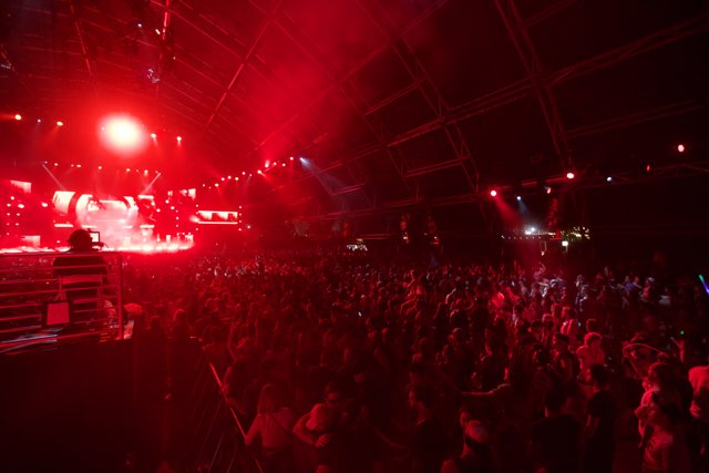 Red-Hot Crowd at Coachella Concert