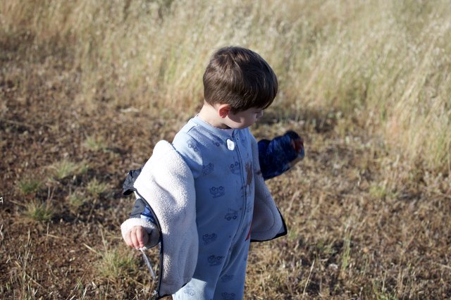 Young Explorer Walking Through Golden Meadow Grass