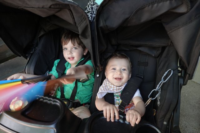 Joyful Stroller Adventures
