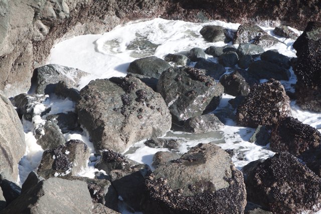 Aerial View of Ocean Rocks