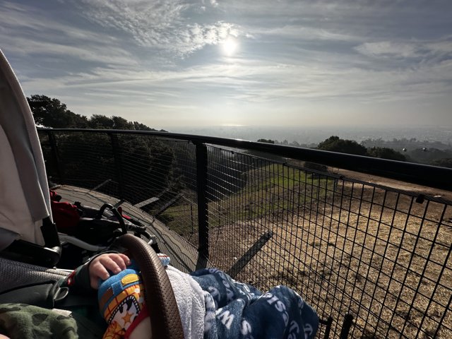 Overlooking the Hills at Oakland Zoo