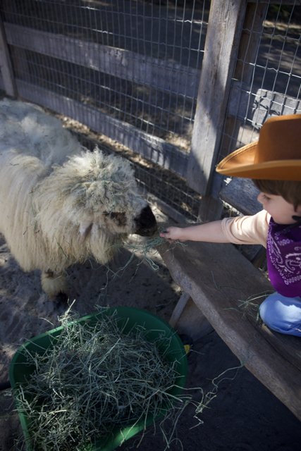 Cowboy Encounters: A Moment at Carmel Valley Ranch