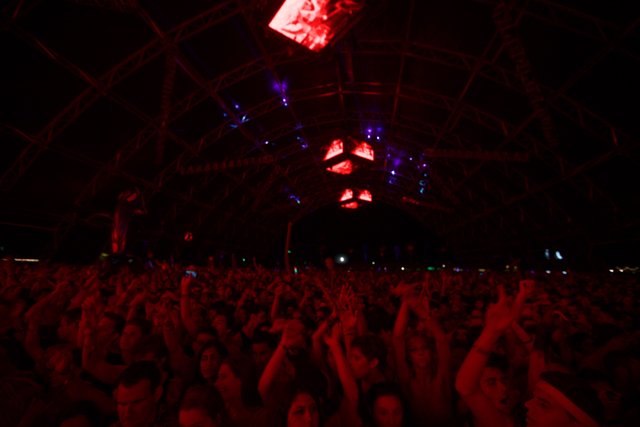 Electrifying Crowd at Coachella