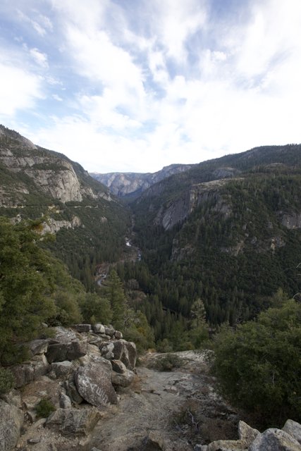Embracing Wilderness: Yosemite Exploration