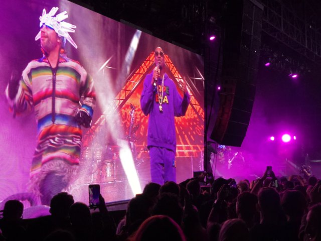 Snoop Dogg Rocks the Stage in Purple