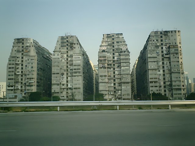 Skyscrapers in the Heart of the Urban Jungle