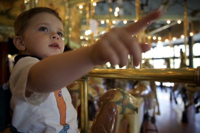 Magical Moments on the Merry-go-round