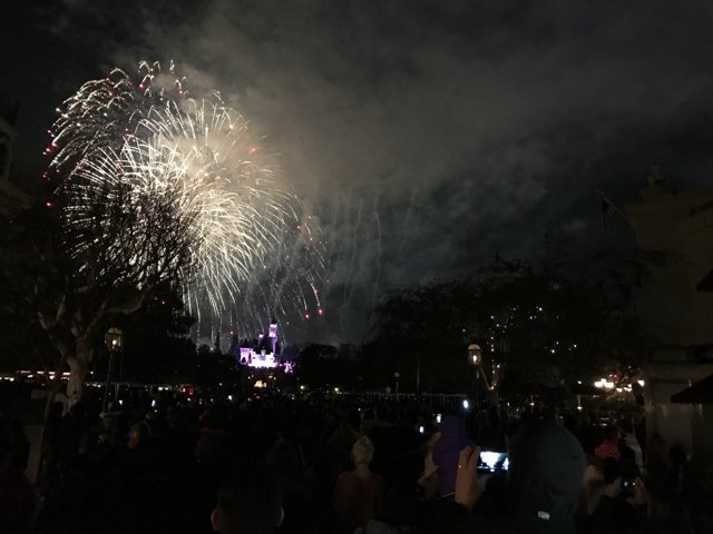 Disneyland Magic in the Night