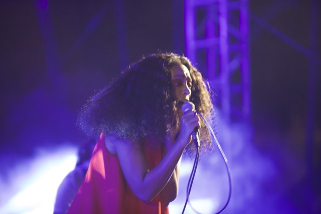 Solange Lights Up the Stage at FYF Bullock 2015