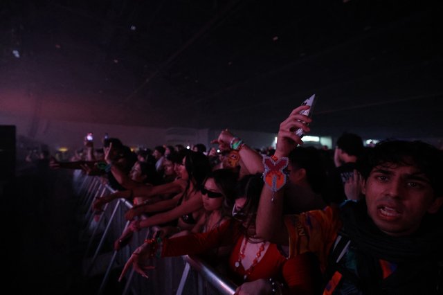 Ecstatic Crowd Surges at Wobbleland Festival 2026