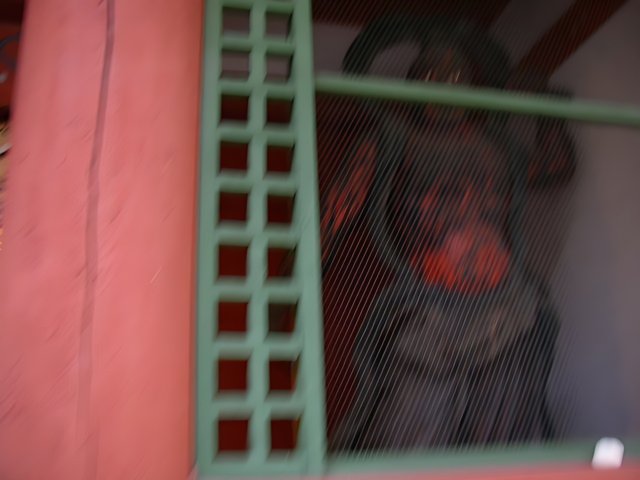 Blurry statue in a window at Kyoto City Hall