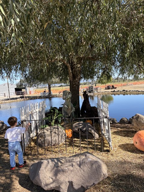 A Curious Encounter at the Pond