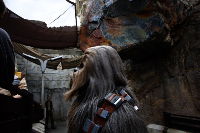 The Force Awakens at Disneyland