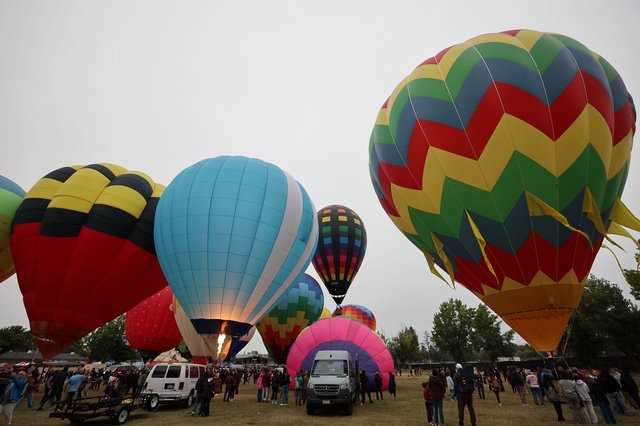 Colorful Hot Air Balloons Fill the Sky at Festival