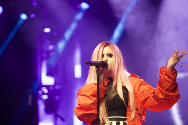 Pink-haired Singer Takes the Stage at Coachella
