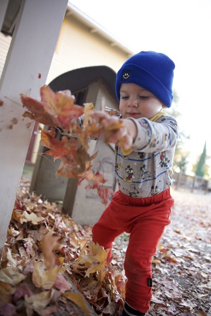 Cherishing the Fall Colors with Baby Wesley