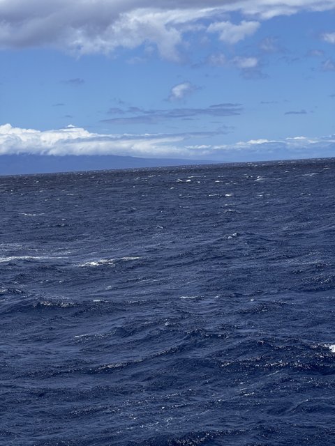 Sailing into the vast blue horizon