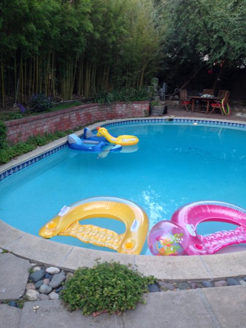 Summer Fun on the Blue and Yellow Raft in Altadena Pool