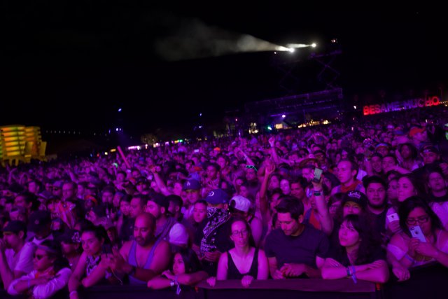 Purple Haze at Coachella: The Ultimate Concert Experience
