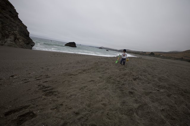 Young Explorer on a Misty Northern California Beach