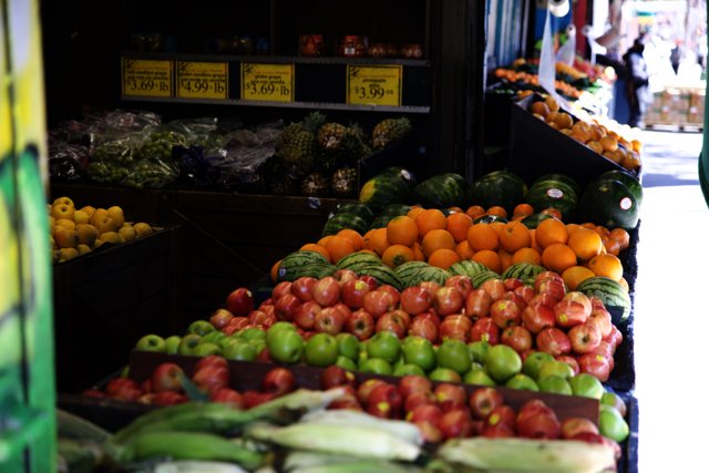 A Colorful Array of Fresh Produce