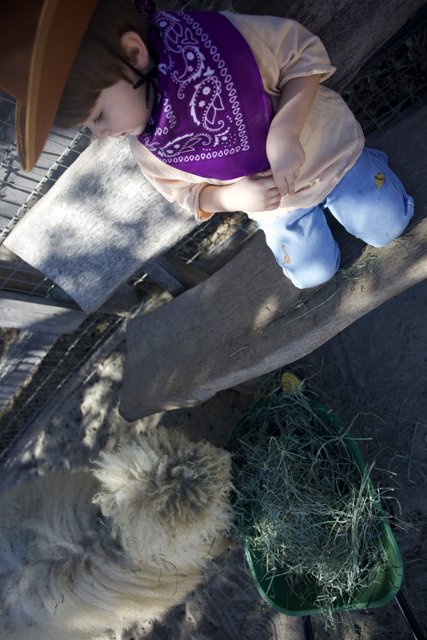 Cowboy Encounters at Carmel Valley Ranch
