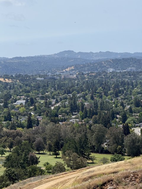 Verdant Vistas from Lime Ridge