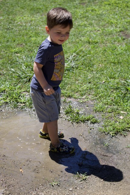 Puddle Adventures