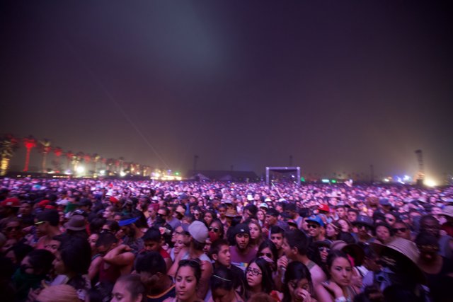 Coachella Crowd under Night Sky