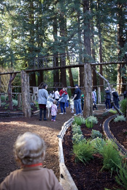 A Stroll Through Thistlewyck's Enchanted Grove