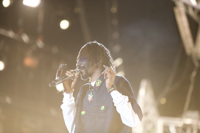 Snoop Dogg's Solo Performance at Coachella 2012