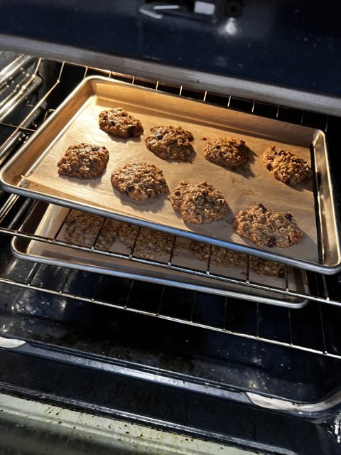 Delicious Chocolate Chip Cookies Straight Out of the Oven