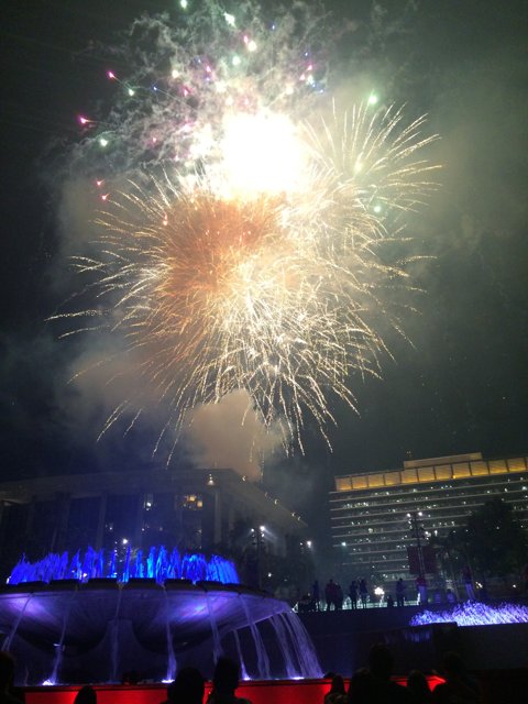 Spectacular Fireworks Illuminate the Night Sky