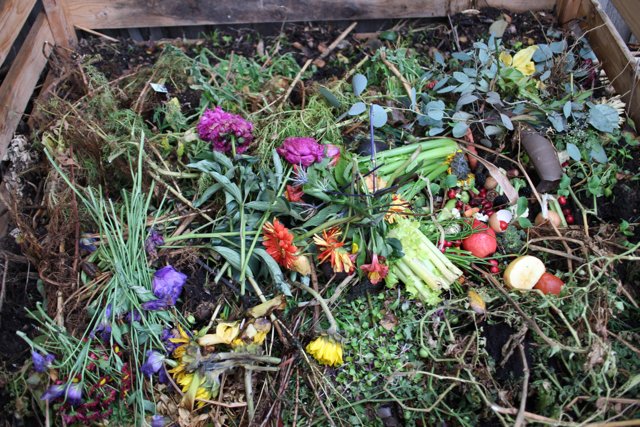 A Blooming Compost Pile