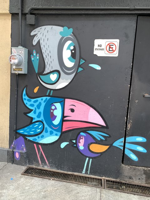 Vibrant Bird Mural Adorns a Door in Oxnard